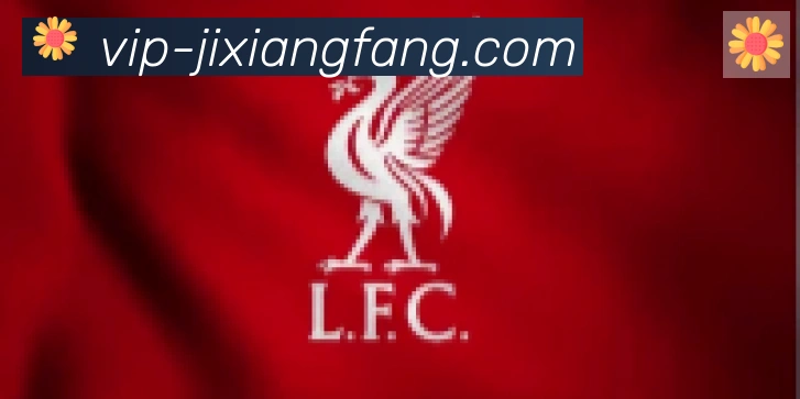 jxf吉祥坊合作伙伴